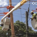 hawaiian-electric-crew-also-in-trees