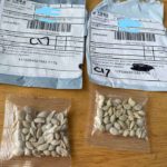 seeds-from-china-credit-washington-state-dept-of-agriculture