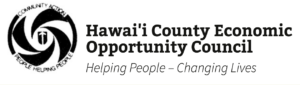 screenshot_2020-07-29-energy-and-housing-hawaii-county-economic-opportunity-council