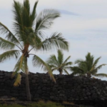 screenshot_2020-10-22-kaloko-honokohau-national-historical-park-u-s-national-park-service