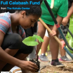 screenshot_2020-11-13-full-calabash-fund