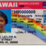 sample-hawaii-dl-courtesy-police