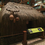 hawaii-homeless-thatched-houses