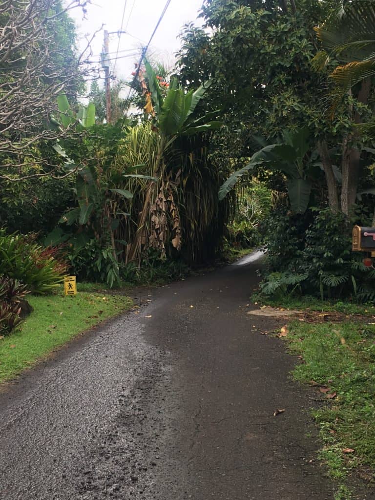 Kaukau 4 Keiki Partnership to Provide Healthy Foods to Children in Rural Areas This Summer - Vimarsana News