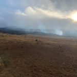 big-island-brush-fire