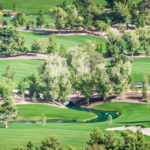 shutterstock_1242648037