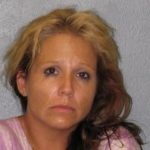 south-kona-woman-financial-crimes-hpd-photo