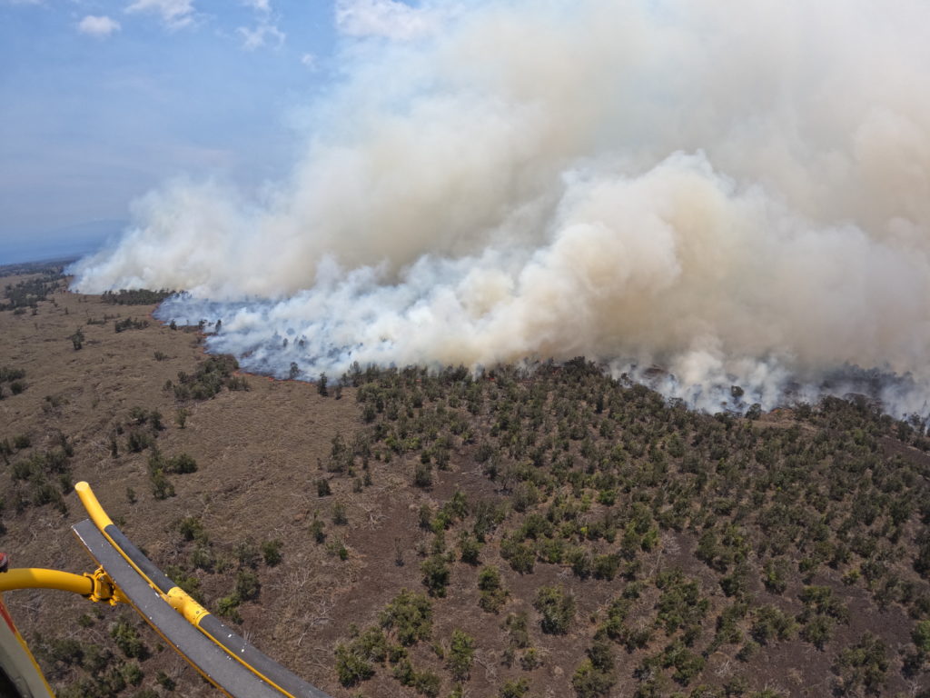 Wildfire Defense Grant Offering Community Funding to Prevent Wildfires - Vimarsana News