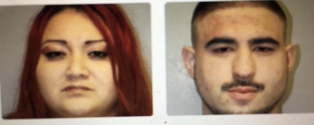 Hilo Couple Charged with Firearm and Drug Offenses - Vimarsana News