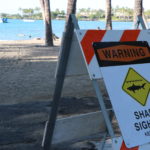 a-bay-shark-warning-sign-dlnr-photo