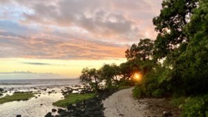 thumbnail_alka-trail-through-kaho-photo-credit-hawaii-pacific-parks-association-2
