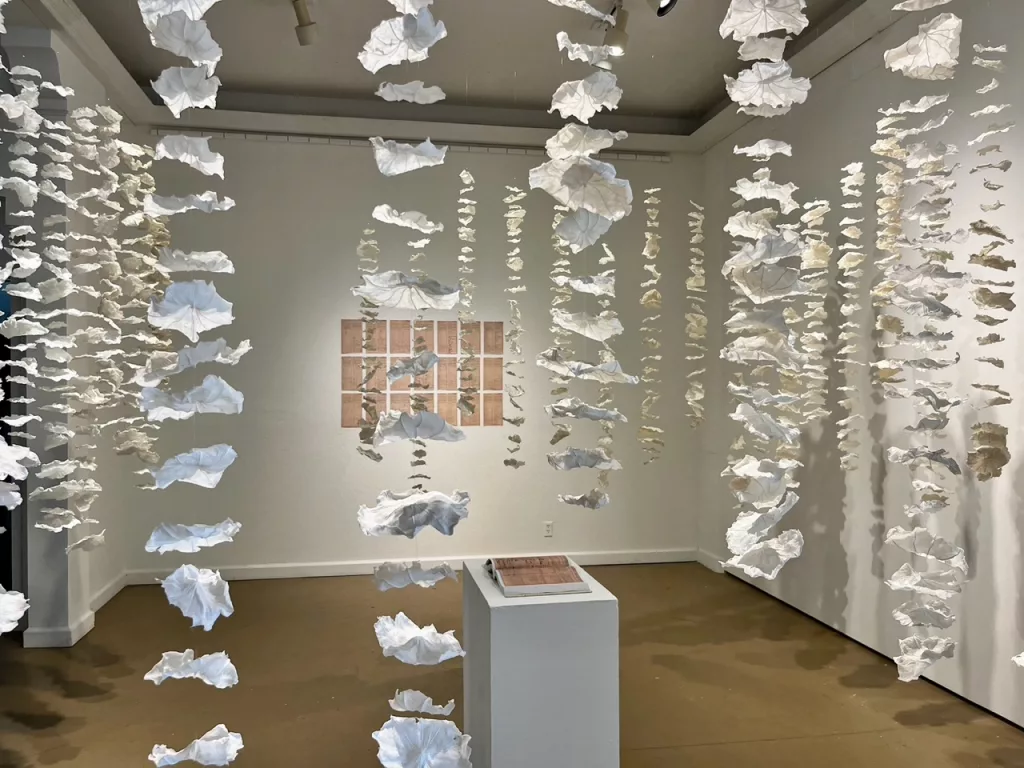 Hawaiian Artists Explore How History Informs Culture in EHCC Exhibit - Vimarsana News