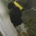 burglary-suspect-hpd-photo