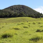 parker-ranch-pasture-dlnr-photo