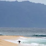 shark-attack-hawaii