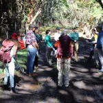 dlnr-forest-bird-count