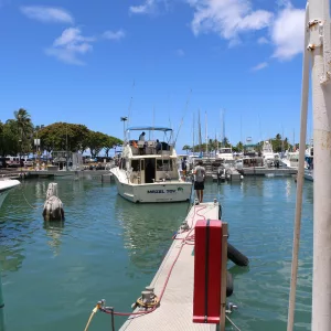 hawaii-non-resident-fishing-dlnr-photo