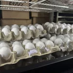 egg-prices