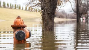 Flooding on a street with top of a fire hydrant visible.