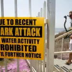 shark-attack-alert-system