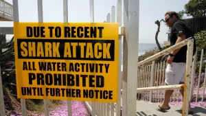 shark-attack-alert-system