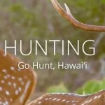 hunting-banner
