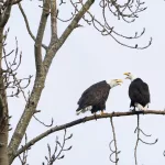 trump-climate-endangered-species