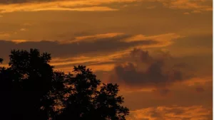 Orange sky in New Jersey from Canada wildfires