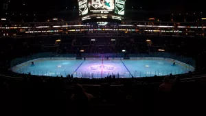pro ice hokey rink lit up at nighttime