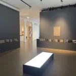 installation-by-yola-monakhov-stockton-ehcc