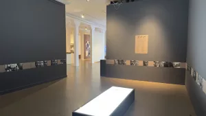installation-by-yola-monakhov-stockton-ehcc