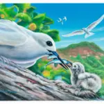 game-bird-contest-winner-dlnr-photo