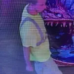 hilo-assault-suspect-hpd