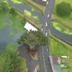 kilauea-banyan-tree-hfd-photo