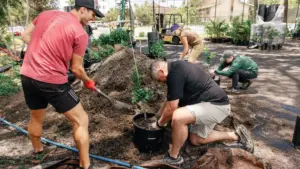 arbor-day-lahaina-trees-ap-photo