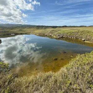kukio-dlnr-photo-png