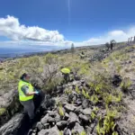 friends-hawaii-volcanoes-national-park-beautification
