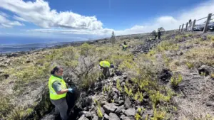 friends-hawaii-volcanoes-national-park-beautification
