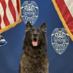 k9archer-hpd-photo
