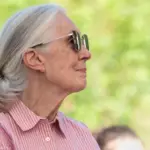 Jane Goodall speaks in Sashegy^ Budapest Budapest^ Hungary - August 09^ 2019