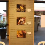 kauai-art-exhbiti-dlnr-photo