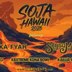 SOJA live in concert