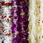 hawaii-lei-legislation