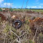 wildlife-mitigation-project-state-of-hawaii