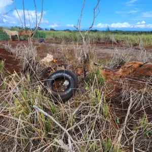 wildlife-mitigation-project-state-of-hawaii