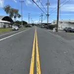 kalanikoa-by-piilani-st-merrie-monarch-hpd-photo