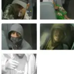 ocean-view-school-bus-thieves-hpd-photo