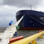 8f1a15e1-3431-46c3-b0d4-e9831ef2c02d_w800_h450336793