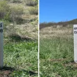 01000000-0aff-0242-2908-08dc63922f0a_cx0_cy11_cw0_w800_h450503844