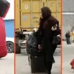 8cb16e3e-0759-4519-3f27-08de3c92853e_tv_w800_h450499427